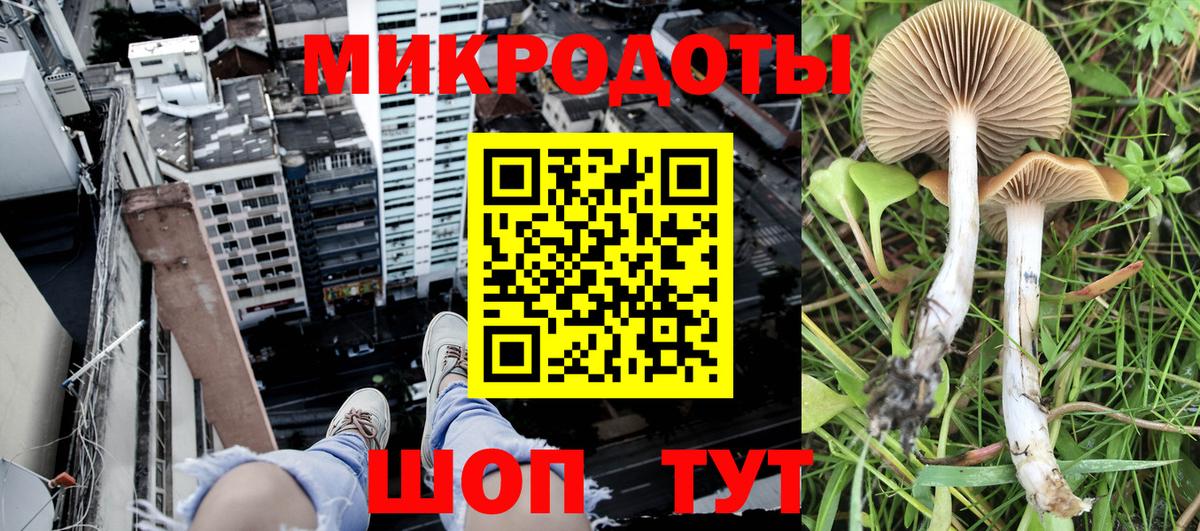 хочу наркоту  Вход с VPN  Черкесск  Псилоцибиновые грибы мицелий 