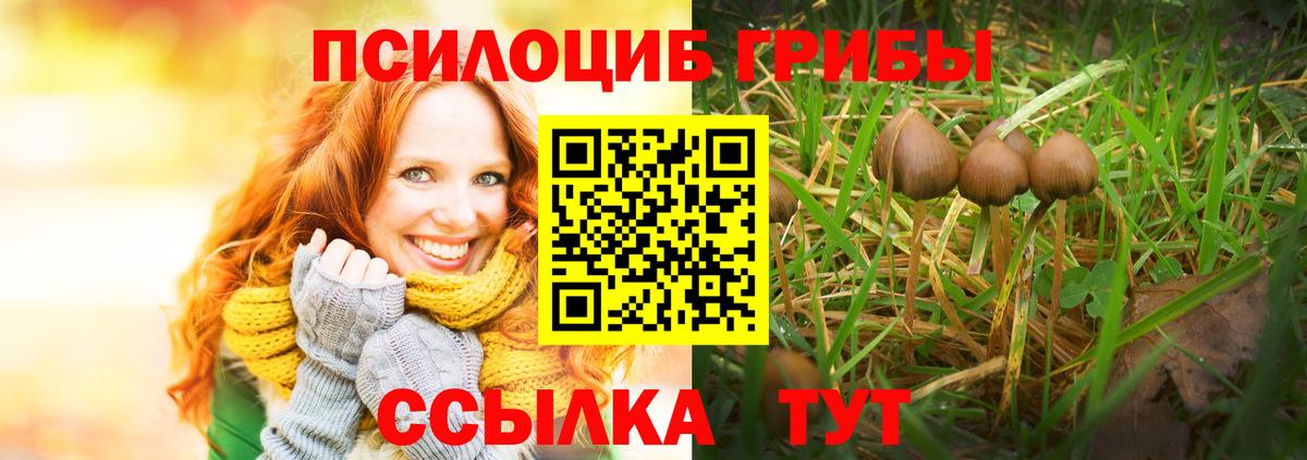 Галлюциногенные грибы MAGIC MUSHROOMS Черкесск